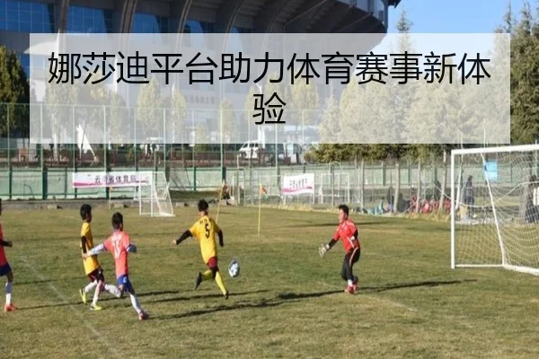 娜莎迪平台助力体育赛事新体验